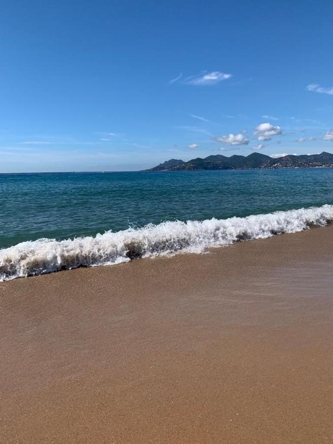 Cannes Old Port, Seafront & Seaview, Yacht Show Port Екстер'єр фото