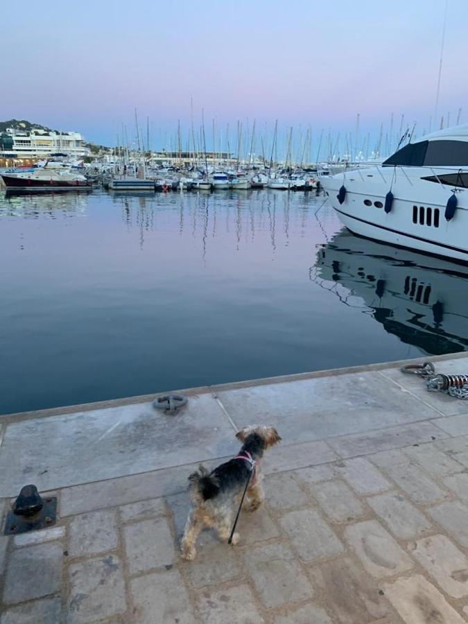 Cannes Old Port, Seafront & Seaview, Yacht Show Port Екстер'єр фото